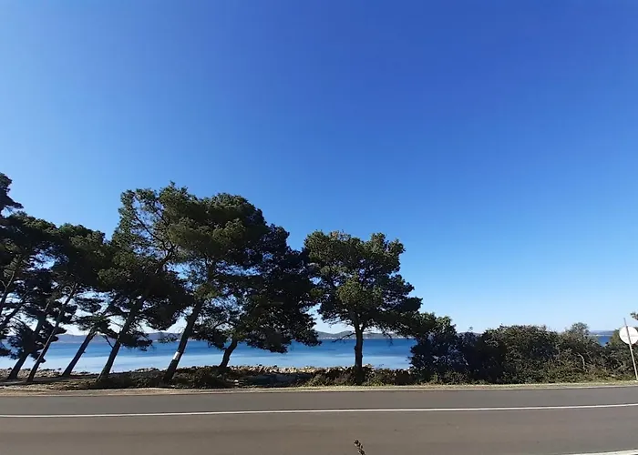 Апартаменты Zora Сукошан